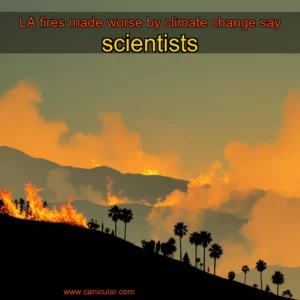 Read more about the article LA fires made worse by climate change  say scientists