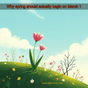 Read more about the article Why spring should actually begin on March 1
